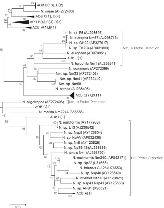 Fig. 2.  Phylogenetic tree of amoA in four different SBR WWTPs. Parentheses represent the number of OTUs