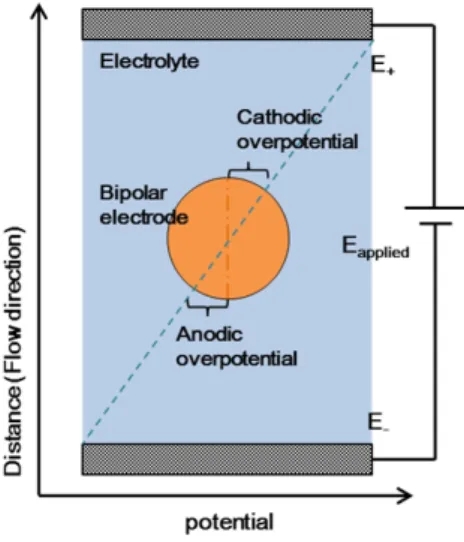 Fig. 2. Development of polarity on a bipolar electrode