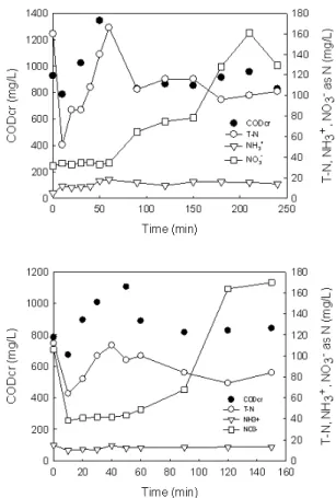Fig. 4.  Concentrations of CODcr, T-N, NH 3 +  and NO 3 -  in efflu- efflu-ent during the reaction time ((a) pH 8 and (b) pH 11)