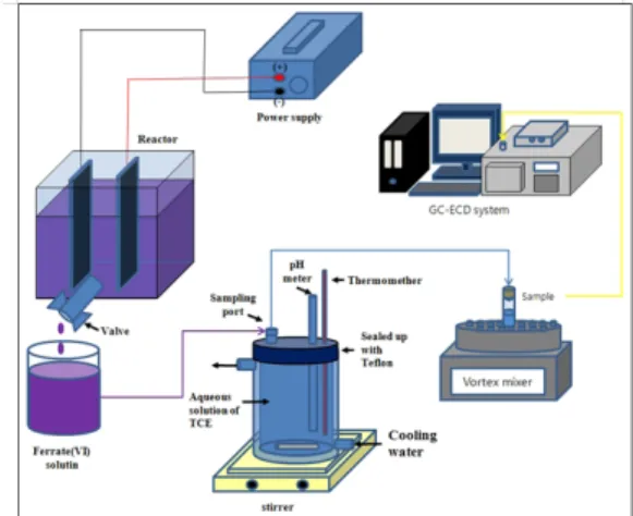 Fig. 1 Schematic diagram of experimental set-up.