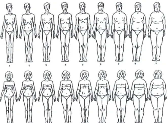 Figure  1.  Somatotype  drawing  for  men  (Upper)  and  for  women  (Lower) 있다.  키와  몸무게를  바탕으로  체질량지수(BMI  =  몸무게 [Kg]/  키2  [m2])를  구하였다