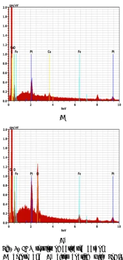 Fig.  3.  EDS  results  of  activated  carbon  (A)  before  and  (B)  after  coating  with  FeCl3 
