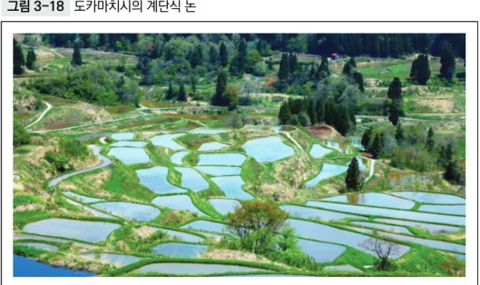 그림 3-18  도카마치시의 계단식 논