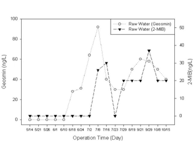 Fig.  5.  Measured  concentrations  of  geosmin    and  MIB  in  raw  water.