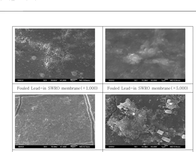 Fig.  5.  막오염된  SWRO  membrane  표면  EDX  결과  FT-IR 분석 결과, Lead port에서 End port와는 달리 