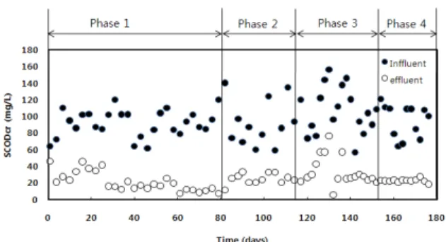 Fig.  3.  Variation  of  TBOD  in  the  influent  and  effluent  of  the  reactor.