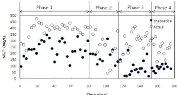Fig.  13.  Variation  of  sulfate  in  the  reactor  and  theoretical  sulfate  production.