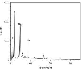 Fig.  5.  EDXA  spectrum  of  the  mixed  powder  at  the  conclusion  of  the  adsorption  experiment.
