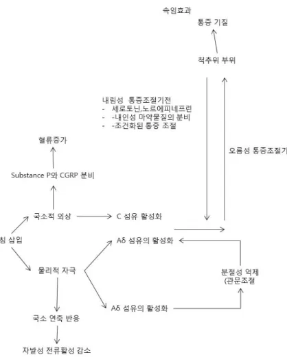 Figure 2. Schematic diagram of the potential physio- physio-logical effects of dry needling