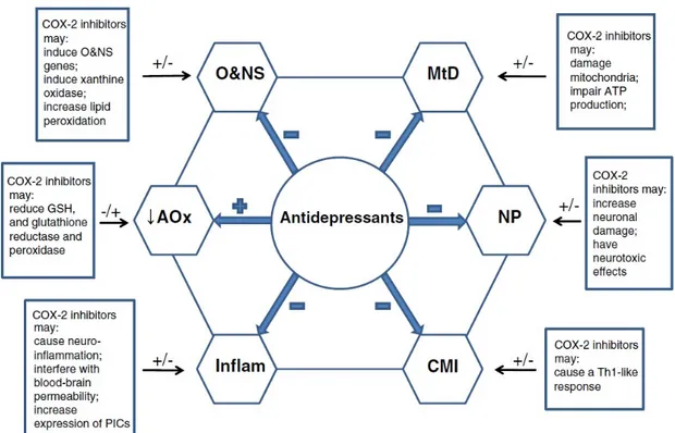 Figure 5.  This figure shows 6 new pathophysiologically guided drug targets to treat depression, i.e