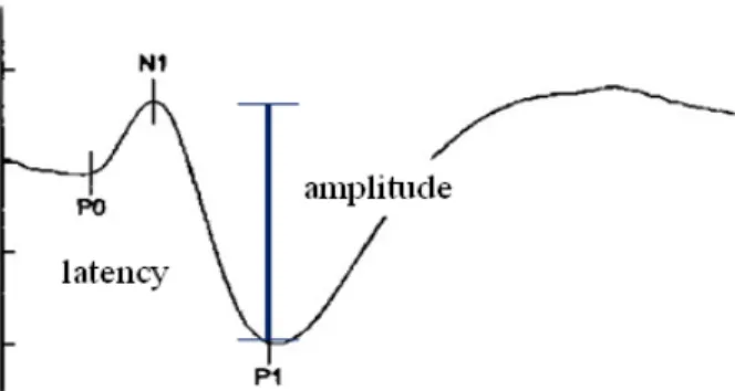 Figure 5. Sympahetic skin response. Latency: initial time to P0,  Amplitude: N1-P1.        ④ 규칙적으로 자극을 주게 되면 환자가 습관화되어  자극에 대한 각성효과가 떨어지므로 환자가 깨어 있는 상태에서 불규칙하게 약 1분 간격(최소 30초  이상 )으로 불규칙적인 자극을 4회 반복한다