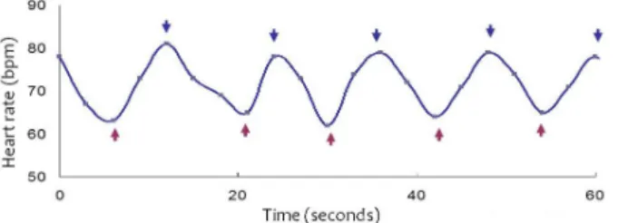 Figure 2. Heart rate difference to deep breathing. Arrow means start  of inspiration or expiration