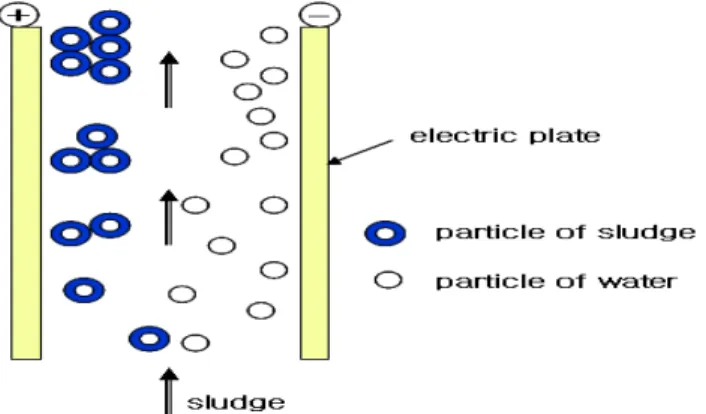 Fig.  1  Separation  process  of  sludge  and  water  particle. 한 요인으로 작용한다. 탈수란 각종 슬러지에 함유된 액체, 특히 물을 제거하는 것4)으로 그 방법에는 동결-해빙, 원심력, 기계적 탈수, 태양건조 등의 방법이 적용될 수 있다