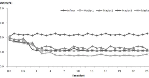Fig.  4.  Variation  of  BOD  concentration  in  influent  and  effluent  on  media  reactor  during  operating  period 