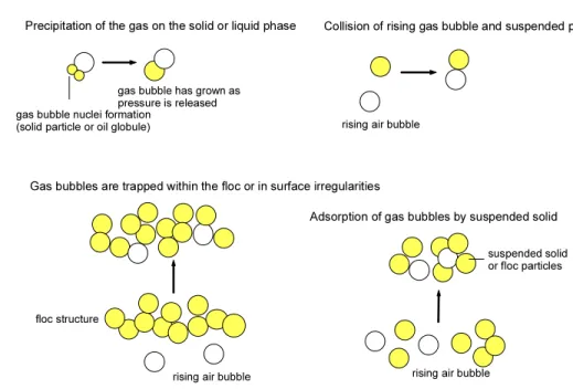 Fig.  1.  Schematic  diagram  of  float  (floc-bubble  agglomerates)  formation.
