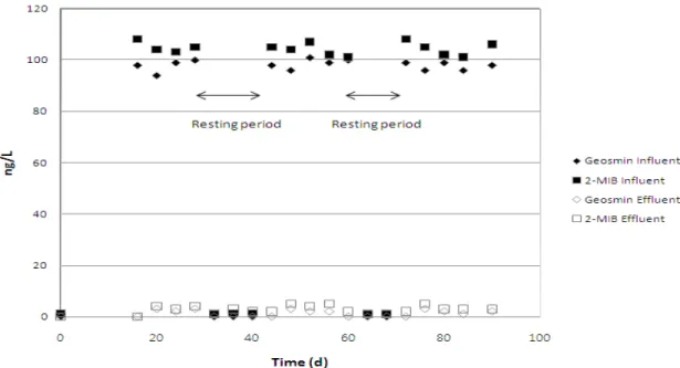Fig.  15  Removal  of  geosmin  and  2-MIB  through  SC2 기물질로  유추할  수  있다.  또한  UV  254  nm파장에서도 protein이 감지되지 않은 것으로 polysaccharide로 확신할 수 있다  (Fig