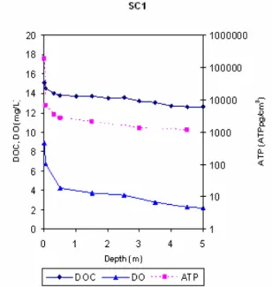 Fig.  7    ATP,  DO  and  DOC  profile  of  SC1  at  a  HLR  0.63  m/day 