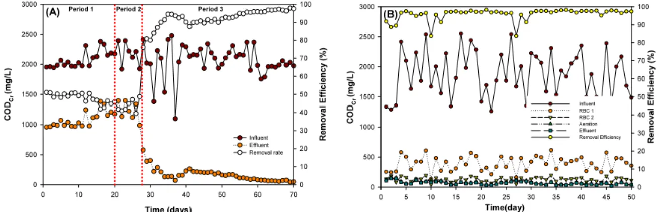 Fig.  5  Removal  performance  of  organic  matters  as  COD cr   in  two  systems  over  the  experimental  period  using  Bacillus  sp.:  System  A  for  a  single  RBC  and  System  B  for  dual  RBC.