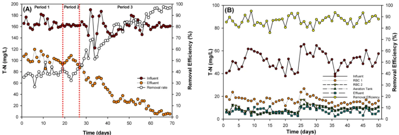 Fig.  6  Comparable  results  of  the  nitrogen  removal  as  T-N  through  the  experimental  period  in  System  A  and  System  B.