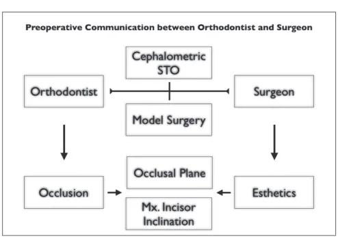 그림 15. Communication flow chart between orthodontists and oral surgeons.