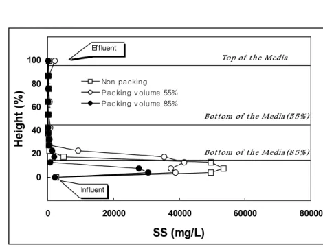 Fig.  7.  Profiles  of  SS  distribution.
