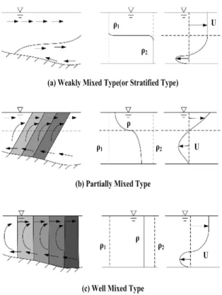 Fig.  2  Density  and  velocity  profiles  associated  with  mixing  type