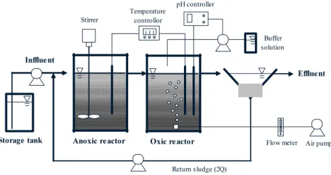 Fig.  3.  Schematic  of  the  biological  nitrogen  removal  systems  used  this  study.