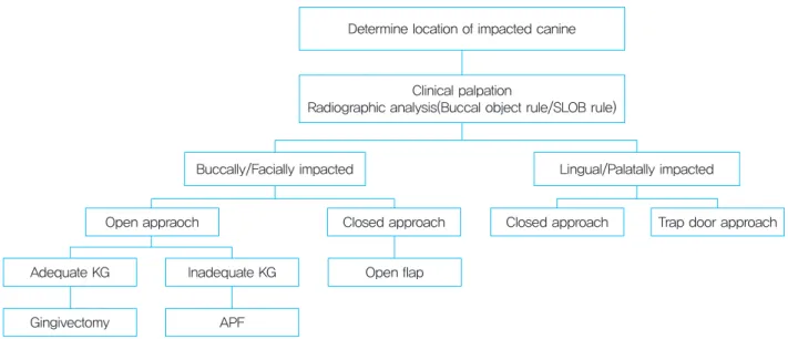 그림 4.  Decision tree (Cooke의 발표 4 를 참조하여 다시 그림)Determine location of impacted canine