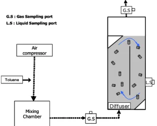 Fig. 1. Schematic of the airlift bioreactor used in this study
