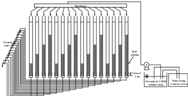 Fig. 1. Schematic diagram of continuous adsorption column.