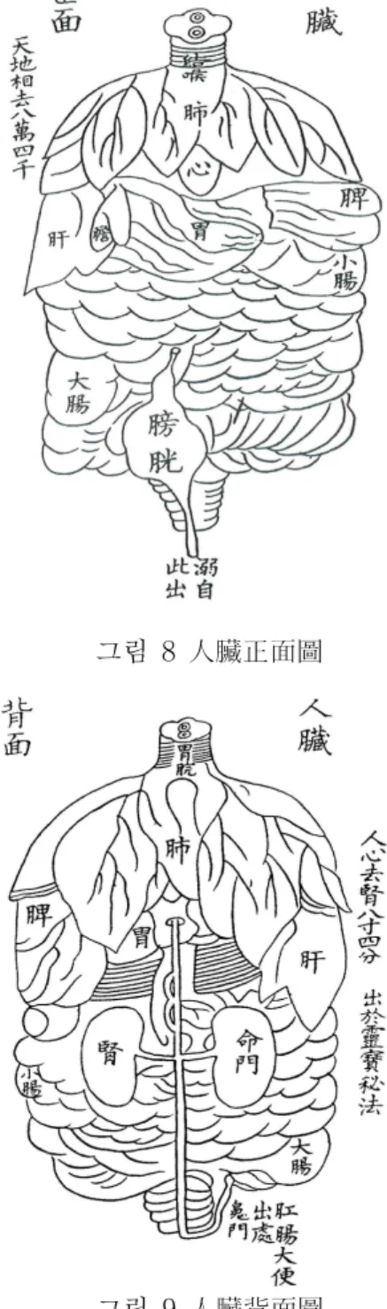 그림 8 人臟正面圖 그림 9 人臟背面圖 (1)華佗遺書에는 ‘人臟正面背面二圖 天 地相去八方四千 入心去腎八尺四分 一一出於 靈寶秘法’으로 31) 되어 있고, 內照圖淺解에 는 ‘入心去腎八尺四分 出於 靈寶秘法 天地相 去八方四千’으로 이 부분이 따로 大字로 되 어 있다