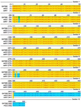 Fig. 2. Amino acid sequence analysis of celV2 and celN1. The DNA sequence of celV2 and celN1 was deposited into Genbank data base with an accession number of FJ89033, FJ89034, respectively