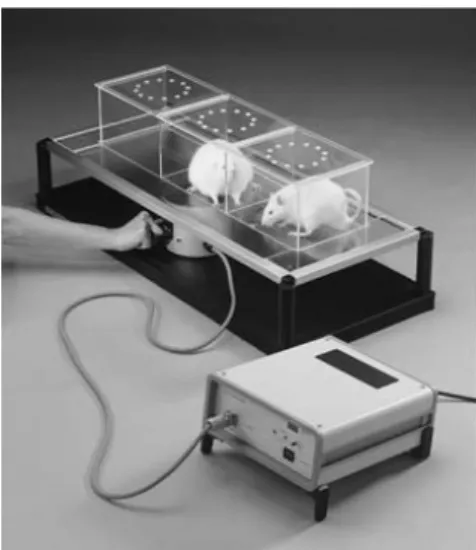 Fig.  1.  Sciatic  functional  index(SFI).