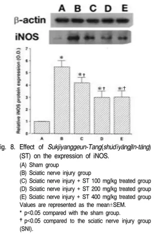 Fig.  7.  Effect  of  Sukjiyanggeun-Tang(shu ́ d ˋ l ya ̌ ngj l ̄ n-ta ̄ ng)  (ST)  on  the  expression  of  COX-2.