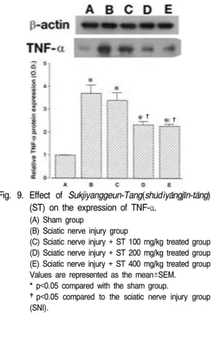 Fig.  9.  Effect  of  Sukjiyanggeun-Tang(shu ́ d ˋ l ya ̌ ngj l ̄ n-ta ̄ ng)  (ST)  on  the  expression  of  TNF-α.