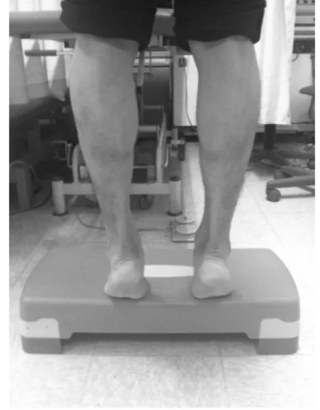 Fig.  1.  Calf  raise  was  performed  50  times  per  1set. 