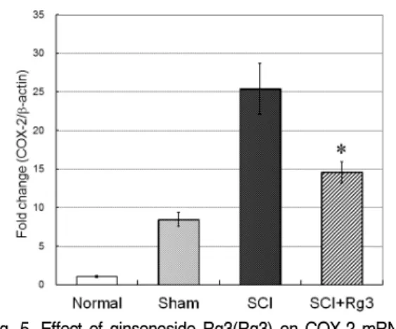 Fig.  4.  Effect  of  ginsenoside  Rg3(Rg3)  on  IL-6  mRNA  expression  in  the  spinal  cord  tissue  of  SCI  induced  mice