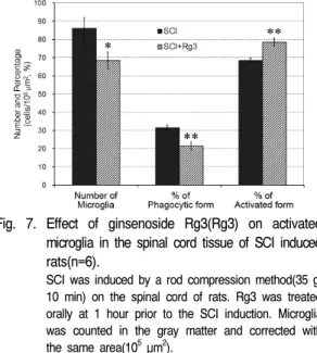 Fig.  9.  Effect  of  ginsenoside  Rg3(Rg3)  on  MPO  positive  neutrophils  in  the  peri-lesion  of  SCI  induced  rats  (n=6).