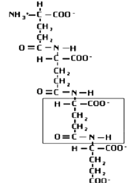 Fig. 2. Schematic  diagram  of  the  advanced  treatment system  consisted  of  the  PGA  and  cavitational pretreatment.