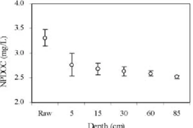 Table 2. Adsorption of DOC on sand media in slow sand filters (at 20℃)