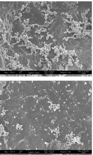 Fig. 7은 완속여과지의 여재층 깊이에 대응하는 접촉시간 (EBCT)에 따른 NOM 제거속도를 나타낸 것이다. NOM 제거 속도가 1차 반응속도를 따른다고 가정할 경우, 다음과 같은 식으로 표현할 수 있다