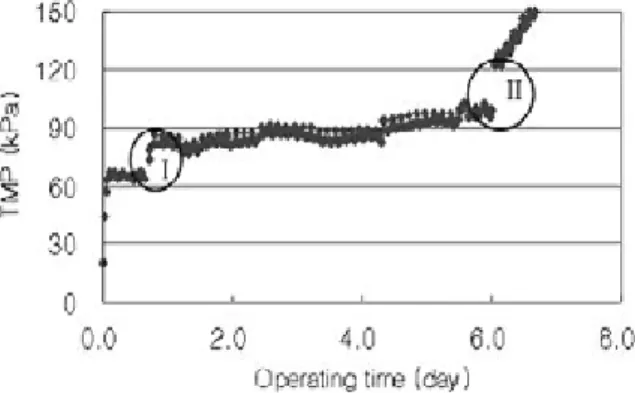 Fig. 7에 의하면 적용된 공정의 최종 제거율은 탁도의 경우 99%로 매우 높았고, TOC와 UV 254 는 35~45%의 제거율로 나타났다. 또한, 세 항목 모두 응집·침전 공정이 전체 제거 율의 80% 이상을 차지하고, 이 후 공정인 막여과 공정에 유입 되는 오염부하가 크게 감소하는 것을 확인할 수 있었다