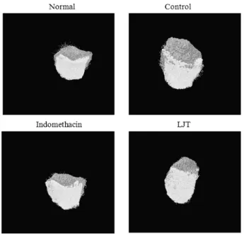 Fig.  15.  Imaging  of  cartilage  degeneration  using  micro  CT-ar- CT-ar-thrography  in  joint  tissue  of  MIA-induced  osteoarthritis  rats.