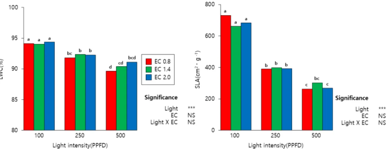 Fig. 1. Leaf water content (LWC) and specific leaf area (SLA) of Indian lettuce ‘Sunhyang’ grown under different combination of light intensity and  EC level at 11 days after treatment