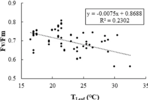 Fig. 3. Relationship between leaf temperature (T Leaf ) and maximum  quantum yield (Fv/Fm) of cumber grown in 10-10-20 and 20-10-10  kPa at 28 and 66days after treatment