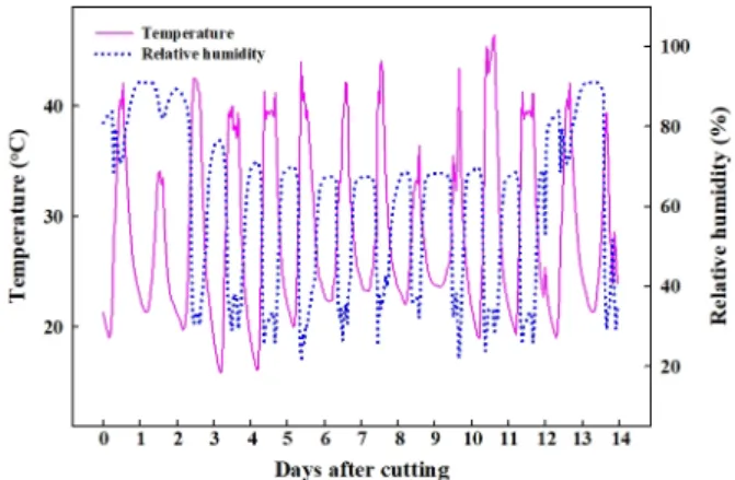 Fig. 1. The changes of temperature and relative humidity in humi- humi-dification tunnel during 14 days after cutting