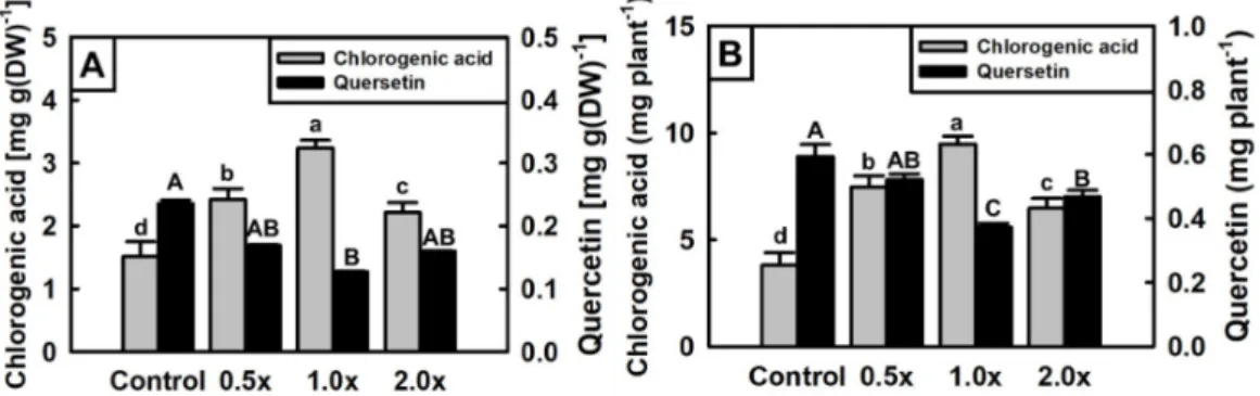 Fig. 4. Contents of chlorogenic acid and quercetin in the lettuce treated with different CO 2  tablet concentration