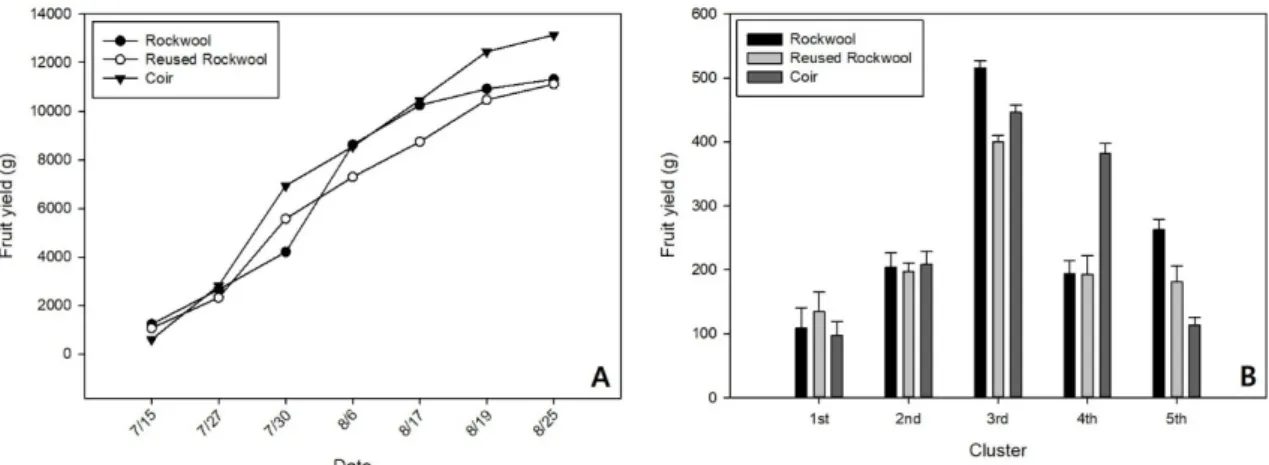 Fig. 5. Fruit yield (A) and average fruit yield by flower cluster (B) changes among ‘Rockwool’, ‘Reused Rockwool’ and ‘Coir’ substrates during the  experimental period.