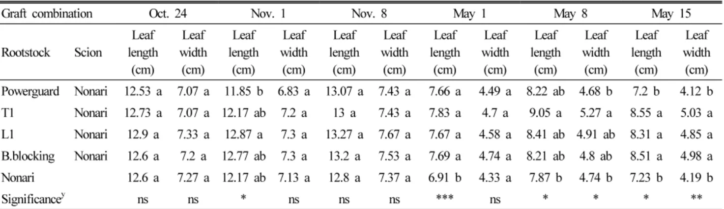 Table 8. Leaf length and width of non-grafted and grafted cherry tomato plants. z