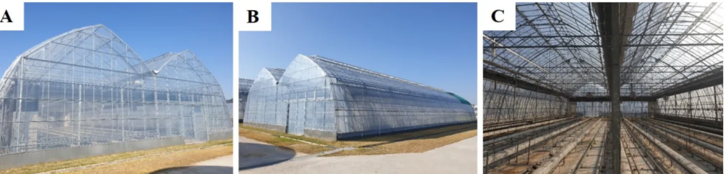 Fig. 1. Plastic greenhouse for experiments (656 m 2 ). A, Front; B, Side; and C, Inside